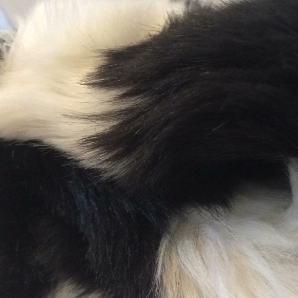 ZARA - Picture 6 of 7